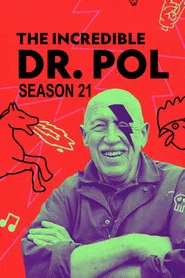 Yetenekli Doktor Pol 21. Sezon afişi