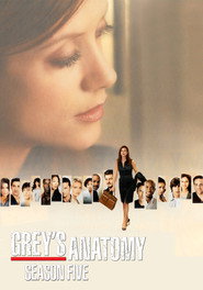 Grey's Anatomy 5. Sezon afişi