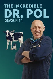 Yetenekli Doktor Pol 14. Sezon afişi