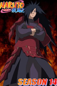 Naruto: Shippuuden 14. Sezon afişi
