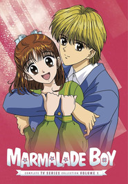 Marmalade Boy 1. Sezon afişi