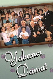 Yabancı Damat 3. Sezon afişi