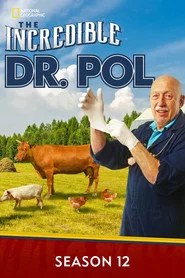 Yetenekli Doktor Pol 12. Sezon afişi