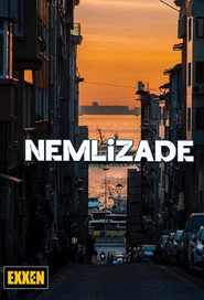 Nemlizade 6. Sezon afişi