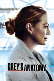Grey's Anatomy 17. Sezon afişi