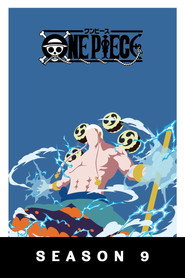 One Piece 9. Sezon afişi