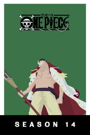 One Piece 14. Sezon afişi