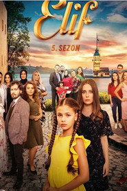 Elif 5. Sezon afişi