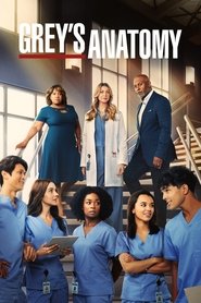 Grey's Anatomy 19. Sezon afişi