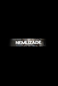 Nemlizade 2. Sezon afişi