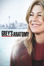Grey's Anatomy 15. Sezon afişi