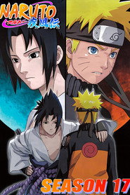 Naruto: Shippuuden 17. Sezon afişi