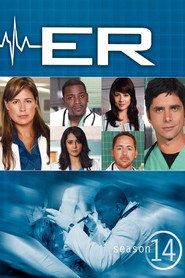 ER 14. Sezon afişi