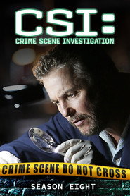 CSI: Crime Scene Investigation 8. Sezon afişi