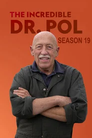Yetenekli Doktor Pol 19. Sezon afişi