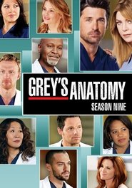 Grey's Anatomy 9. Sezon afişi