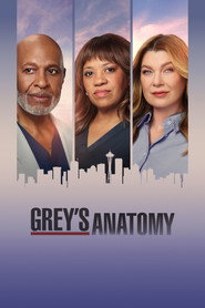Grey's Anatomy 23. Sezon afişi