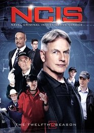 NCIS 12. Sezon afişi