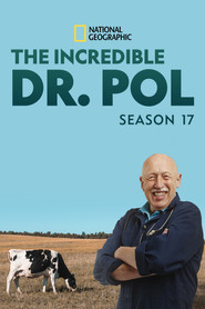 Yetenekli Doktor Pol 17. Sezon afişi