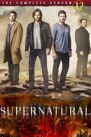Supernatural 12. Sezon afişi