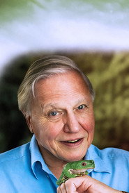 David Attenborough ile Sıradışı Canlılar 4. Sezon afişi