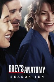 Grey's Anatomy 10. Sezon afişi