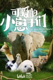 The Wonderful World of Baby Animals 1. Sezon afişi