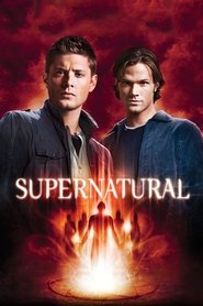 Supernatural 5. Sezon afişi