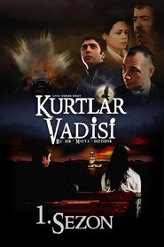 Kurtlar Vadisi 1. Sezon afişi