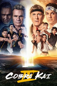 Cobra Kai 4. Sezon afişi