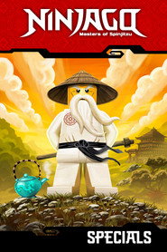 Ninjago: Spinjitzu'nun Ustaları Özel Bölümler afişi