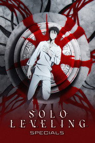 Solo Leveling Özel Bölümler afişi