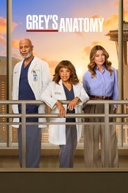 Grey's Anatomy 22. Sezon afişi