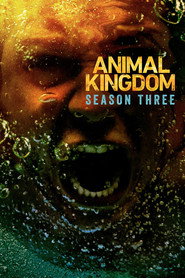 Animal Kingdom 3. Sezon afişi