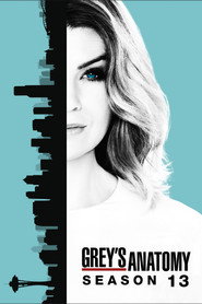Grey's Anatomy 13. Sezon afişi