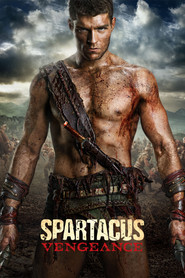 Spartacus İntikam afişi