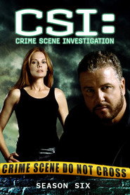 CSI: Crime Scene Investigation 6. Sezon afişi