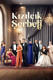 Kızılcık Şerbeti 3. Sezon afişi
