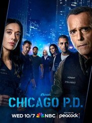 Chicago P.D. 14. Sezon afişi