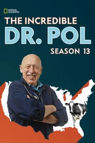 Yetenekli Doktor Pol 13. Sezon afişi