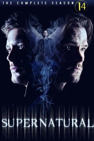 Supernatural 14. Sezon afişi