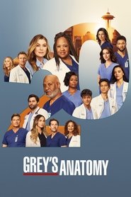 Grey's Anatomy 20. Sezon afişi