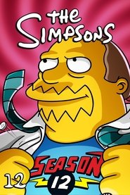 Simpsonlar 12. Sezon afişi
