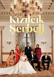 Kızılcık Şerbeti 1. Sezon afişi