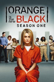 Orange Is the New Black 1. Sezon afişi