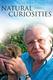 David Attenborough ile Sıradışı Canlılar 2. Sezon afişi