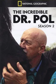 Yetenekli Doktor Pol 2. Sezon afişi