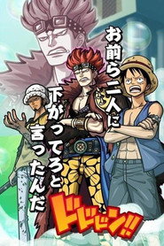 One Piece 11. Sezon afişi