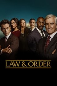 Law & Order 23. Sezon afişi