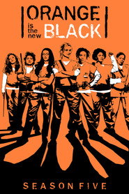 Orange Is the New Black 5. Sezon afişi